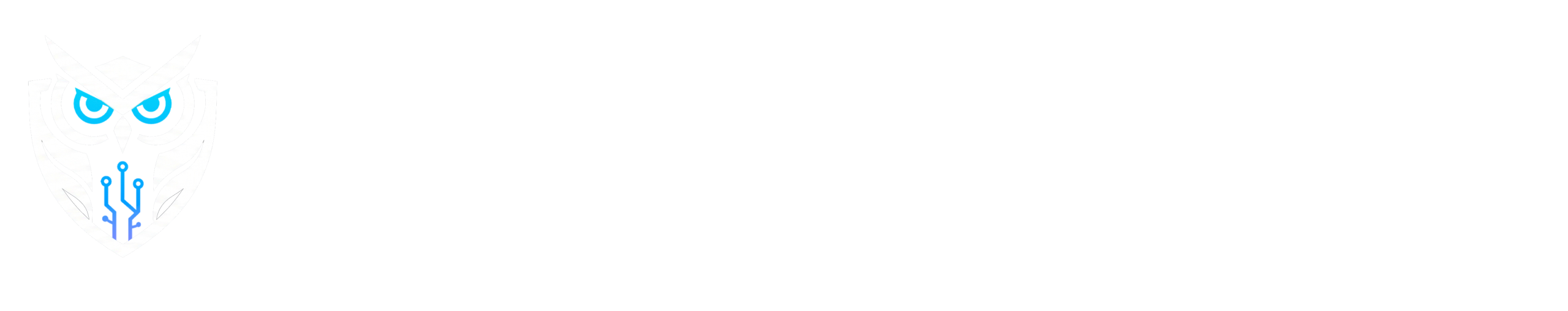 LOGO DSJ SECURITY HORIZONTAL WHITE OFICIAL